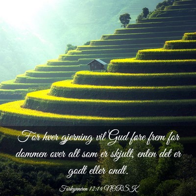 Picture 03 - Forkynneren 12:14 NORSK - For hver gjerning vil Gud føre frem for dommen - Bible Verse Picture