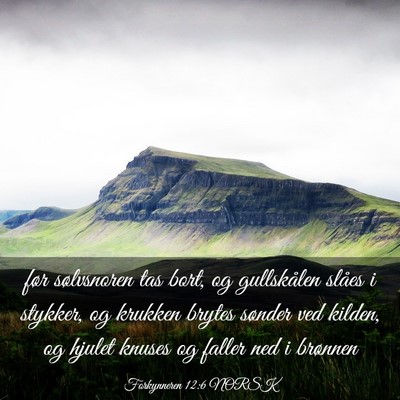 Picture 03 - Forkynneren 12:6 NORSK - før sølvsnoren tas bort, og gullskålen slåes - Bible Verse Picture