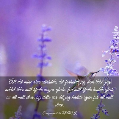 Picture 03 - Forkynneren 2:10 NORSK - Alt det mine øine attrådde, det forholdt jeg - Bible Verse Picture