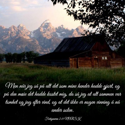 Picture 03 - Forkynneren 2:11 NORSK - Men når jeg så på alt det som mine hender - Bible Verse Picture