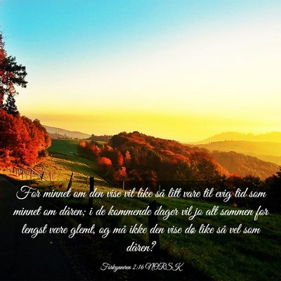 Picture 03 - Forkynneren 2:16 NORSK - For minnet om den vise vil like så litt vare til - Bible Verse Picture