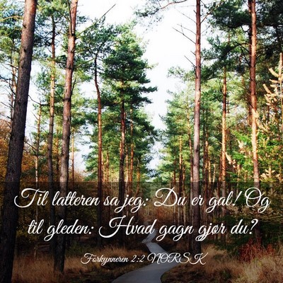 Picture 03 - Forkynneren 2:2 NORSK - Til latteren sa jeg: Du er gal! Og til gleden: - Bible Verse Picture