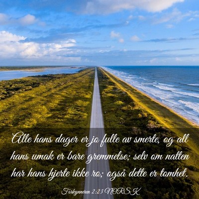 Picture 03 - Forkynneren 2:23 NORSK - Alle hans dager er jo fulle av smerte, og all - Bible Verse Picture