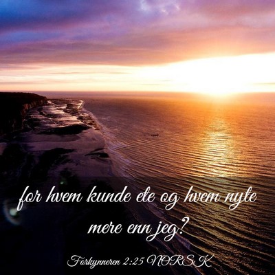 Picture 03 - Forkynneren 2:25 NORSK - for hvem kunde ete og hvem nyte mere enn - Bible Verse Picture
