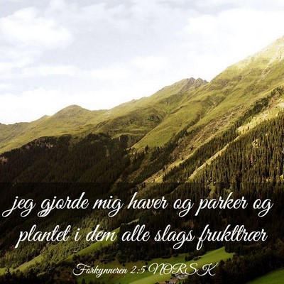 Picture 03 - Forkynneren 2:5 NORSK - jeg gjorde mig haver og parker og plantet i dem - Bible Verse Picture