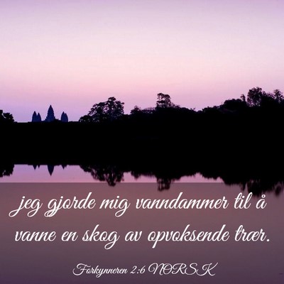 Picture 03 - Forkynneren 2:6 NORSK - jeg gjorde mig vanndammer til å vanne en skog av - Bible Verse Picture