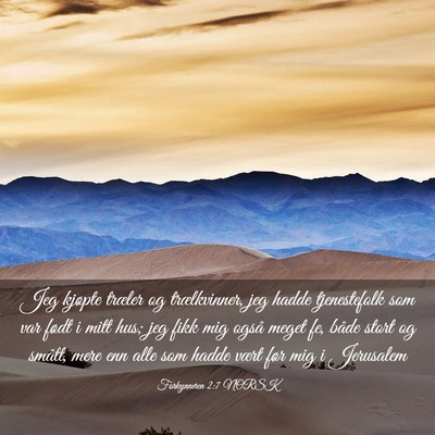 Picture 03 - Forkynneren 2:7 NORSK - Jeg kjøpte træler og trælkvinner, jeg hadde - Bible Verse Picture