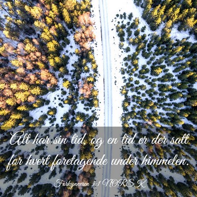 Picture 03 - Forkynneren 3:1 NORSK - Alt har sin tid, og en tid er der satt for hvert - Bible Verse Picture