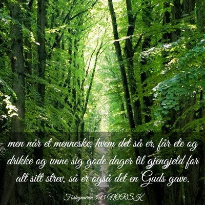 Picture 03 - Forkynneren 3:13 NORSK - men når et menneske, hvem det så er, får ete - Bible Verse Picture