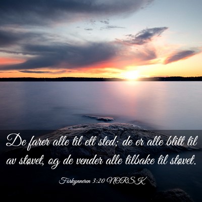 Picture 03 - Forkynneren 3:20 NORSK - De farer alle til ett sted; de er alle blitt til - Bible Verse Picture