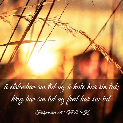 Picture 03 - Forkynneren 3:8 NORSK - å elske har sin tid og å hate har sin tid; krig - Bible Verse Picture