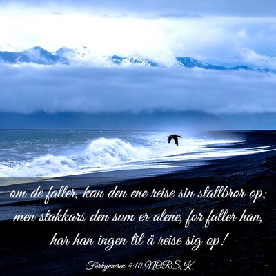 Picture 03 - Forkynneren 4:10 NORSK - om de faller, kan den ene reise sin stallbror op; - Bible Verse Picture