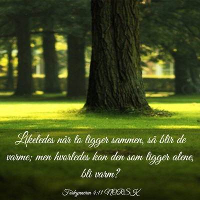 Picture 03 - Forkynneren 4:11 NORSK - Likeledes når to ligger sammen, så blir de - Bible Verse Picture
