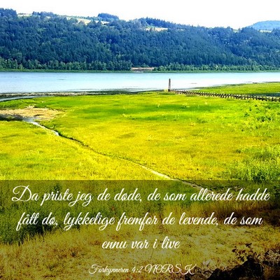 Picture 03 - Forkynneren 4:2 NORSK - Da priste jeg de døde, de som allerede hadde - Bible Verse Picture