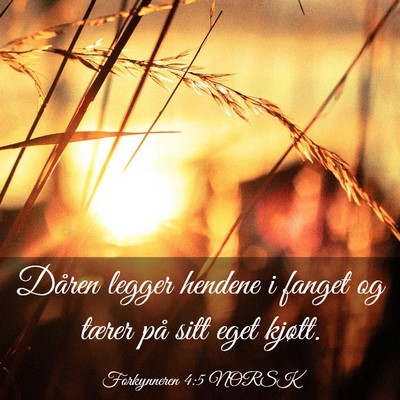 Picture 03 - Forkynneren 4:5 NORSK - Dåren legger hendene i fanget og tærer på sitt - Bible Verse Picture