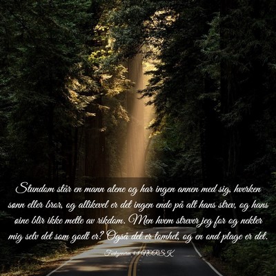 Picture 03 - Forkynneren 4:8 NORSK - Stundom står en mann alene og har ingen annen - Bible Verse Picture