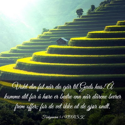 Picture 03 - Forkynneren 5:1 NORSK - Vokt din fot når du går til Guds hus! Å komme - Bible Verse Picture