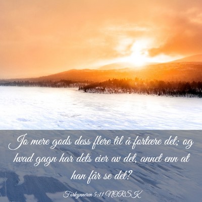 Picture 03 - Forkynneren 5:11 NORSK - Jo mere gods dess flere til å fortære det; og - Bible Verse Picture