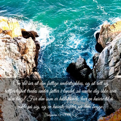 Picture 03 - Forkynneren 5:8 NORSK - Om du ser at den fattige undertrykkes, og at rett - Bible Verse Picture