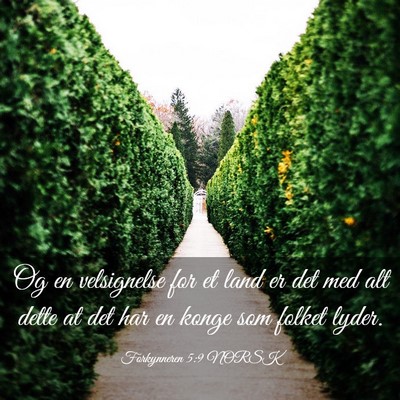 Picture 03 - Forkynneren 5:9 NORSK - Og en velsignelse for et land er det med alt - Bible Verse Picture