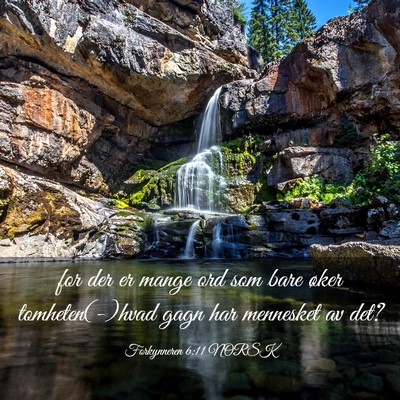 Picture 03 - Forkynneren 6:11 NORSK - for der er mange ord som bare øker - Bible Verse Picture