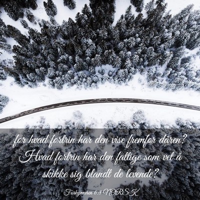 Picture 03 - Forkynneren 6:8 NORSK - for hvad fortrin har den vise fremfor dåren? - Bible Verse Picture