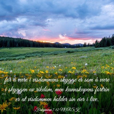 Picture 03 - Forkynneren 7:12 NORSK - for å være i visdommens skygge er som å være - Bible Verse Picture