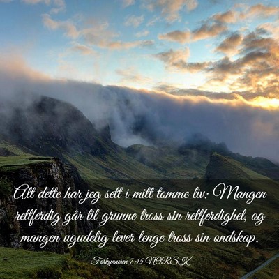 Picture 03 - Forkynneren 7:15 NORSK - Alt dette har jeg sett i mitt tomme liv: Mangen - Bible Verse Picture