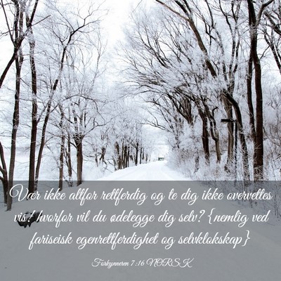 Picture 03 - Forkynneren 7:16 NORSK - Vær ikke altfor rettferdig og te dig ikke - Bible Verse Picture