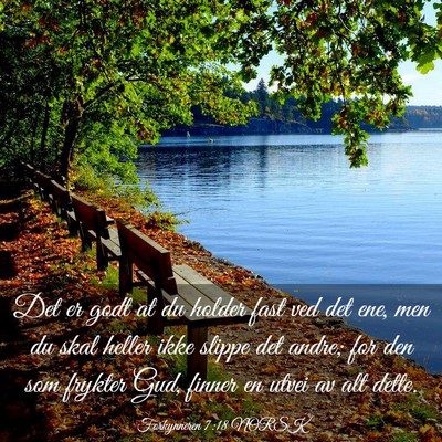 Picture 03 - Forkynneren 7:18 NORSK - Det er godt at du holder fast ved det ene, men du - Bible Verse Picture