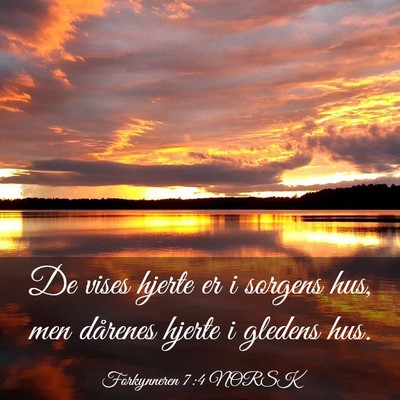 Picture 03 - Forkynneren 7:4 NORSK - De vises hjerte er i sorgens hus, men dårenes - Bible Verse Picture