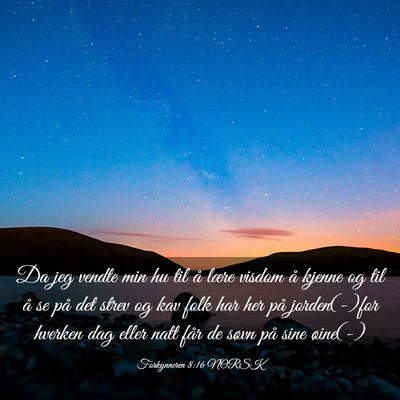 Picture 03 - Forkynneren 8:16 NORSK - Da jeg vendte min hu til å lære visdom å - Bible Verse Picture
