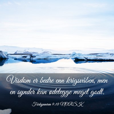 Picture 03 - Forkynneren 9:18 NORSK - Visdom er bedre enn krigsvåben, men en synder - Bible Verse Picture
