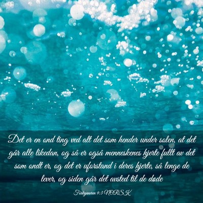 Picture 03 - Forkynneren 9:3 NORSK - Det er en ond ting ved alt det som hender under - Bible Verse Picture