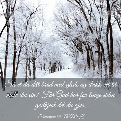 Picture 03 - Forkynneren 9:7 NORSK - Så et da ditt brød med glede og drikk vel til - Bible Verse Picture