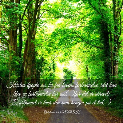 Picture 03 - Galaterne 3:13 NORSK - Kristus kjøpte oss fri fra lovens forbannelse, - Bible Verse Picture