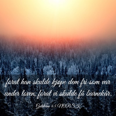 Picture 03 - Galaterne 4:5 NORSK - forat han skulde kjøpe dem fri som var under - Bible Verse Picture