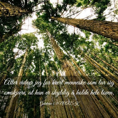 Picture 03 - Galaterne 5:3 NORSK - Atter vidner jeg for hvert menneske som lar sig - Bible Verse Picture