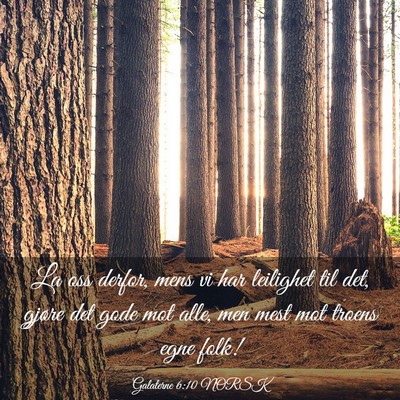 Picture 03 - Galaterne 6:10 NORSK - La oss derfor, mens vi har leilighet til det, - Bible Verse Picture