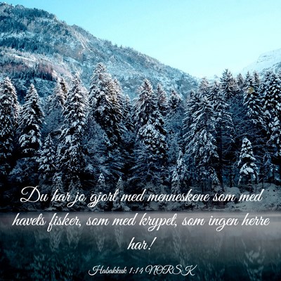 Picture 03 - Habakkuk 1:14 NORSK - Du har jo gjort med menneskene som med havets - Bible Verse Picture