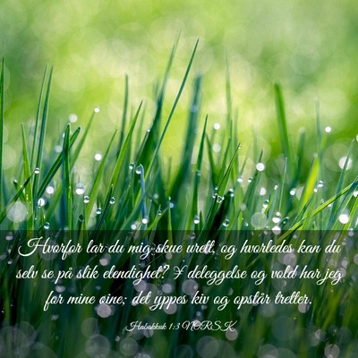 Picture 03 - Habakkuk 1:3 NORSK - Hvorfor lar du mig skue urett, og hvorledes kan - Bible Verse Picture