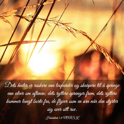 Picture 03 - Habakkuk 1:8 NORSK - Dets hester er raskere enn leoparder og skarpere - Bible Verse Picture