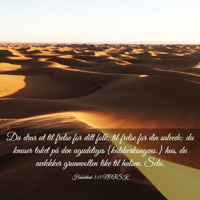 Picture 03 - Habakkuk 3:13 NORSK - Du drar ut til frelse for ditt folk, til frelse - Bible Verse Picture
