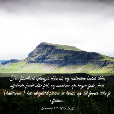 Picture 03 - Habakkuk 3:17 NORSK - For fikentreet springer ikke ut, og vintrærne - Bible Verse Picture