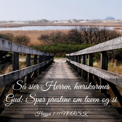 Picture 03 - Haggai 2:11 NORSK - Så sier Herren, hærskarenes Gud: Spør prestene - Bible Verse Picture