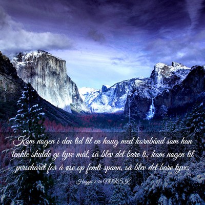 Picture 03 - Haggai 2:16 NORSK - Kom nogen i den tid til en haug med kornbånd som - Bible Verse Picture