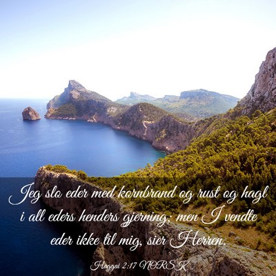 Picture 03 - Haggai 2:17 NORSK - Jeg slo eder med kornbrand og rust og hagl i all - Bible Verse Picture