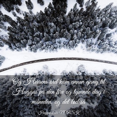 Picture 03 - Haggai 2:20 NORSK - Og Herrens ord kom annen gang til Haggai på den - Bible Verse Picture
