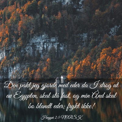 Picture 03 - Haggai 2:5 NORSK - Den pakt jeg gjorde med eder da I drog ut av - Bible Verse Picture