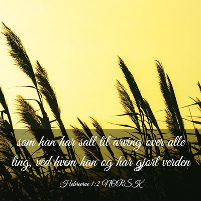 Picture 03 - Hebreerne 1:2 NORSK - som han har satt til arving over alle ting, ved - Bible Verse Picture